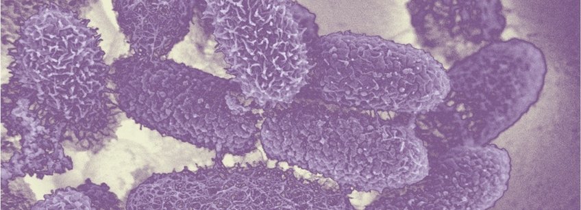 Microbiome Lipid Metabolism Microbiome Lipid Metabolism